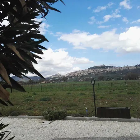 Guest house Carloni 3*